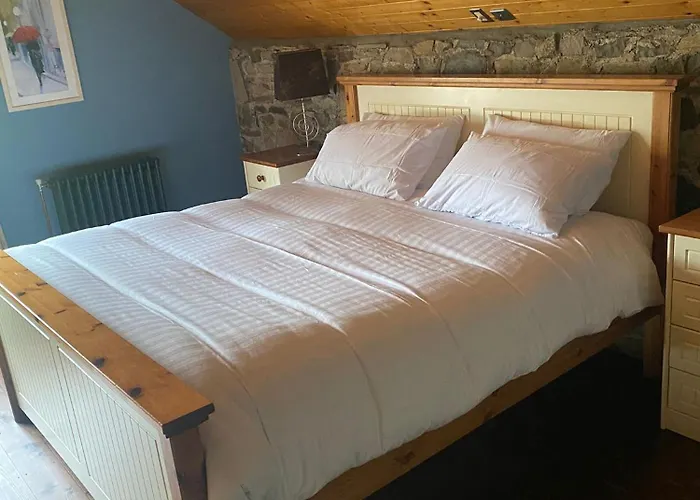 Cloneymore * 아스보이